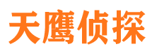 开原侦探公司